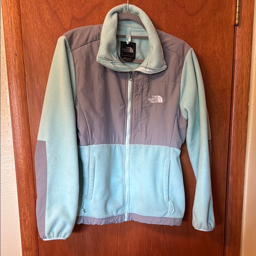 The North Face Agua and Gray Ski & Snow Jacket